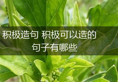 积极造句 积极可以造的句子有哪些
