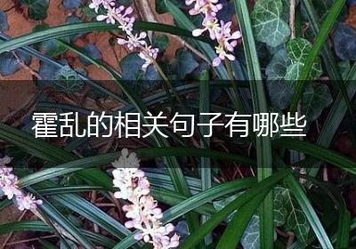 霍乱的相关句子有哪些