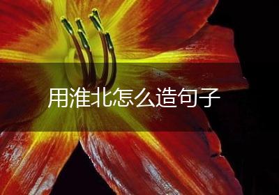 用淮北怎么造句子