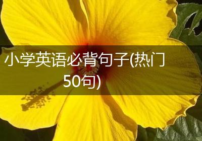 小学英语必背句子(热门50句)