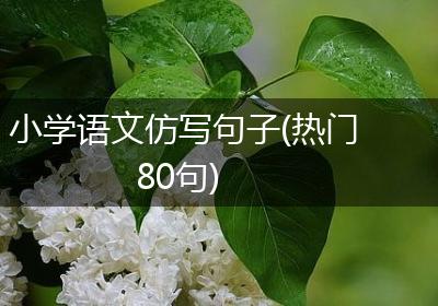小学语文仿写句子(热门80句)