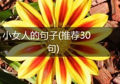 小女人的句子(推荐30句)
