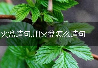 火盆造句,用火盆怎么造句