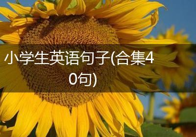小学生英语句子(合集40句)
