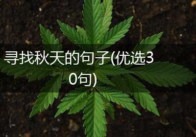 寻找秋天的句子(优选30句)