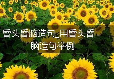 昏头昏脑造句_用昏头昏脑造句举例