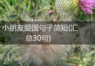 小朋友爱国句子简短(汇总30句)