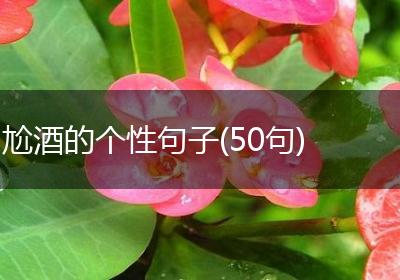 尬酒的个性句子(50句)