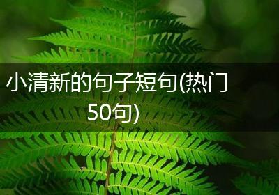 小清新的句子短句(热门50句)