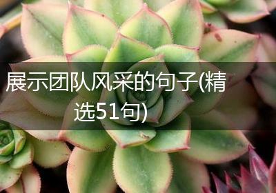 展示团队风采的句子(精选51句)