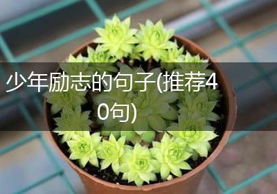 少年励志的句子(推荐40句)