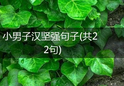 小男子汉坚强句子(共22句)