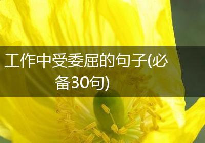 工作中受委屈的句子(必备30句)