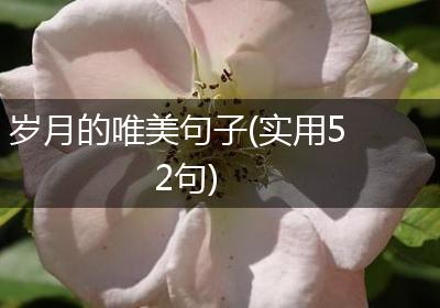 岁月的唯美句子(实用52句)