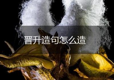 晋升造句怎么造