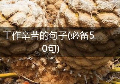 工作辛苦的句子(必备50句)