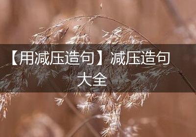 【用减压造句】减压造句大全