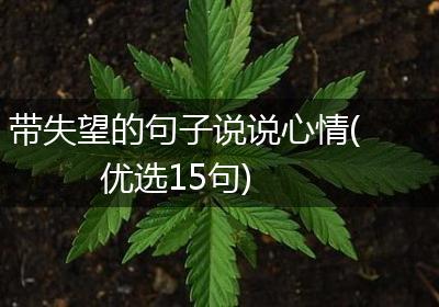 带失望的句子说说心情(优选15句)