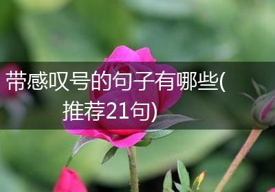 带感叹号的句子有哪些(推荐21句)