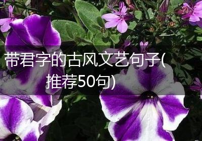 带君字的古风文艺句子(推荐50句)