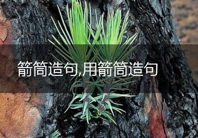 箭筒造句,用箭筒造句