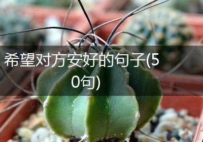 希望对方安好的句子(50句)