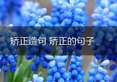 矫正造句 矫正的句子