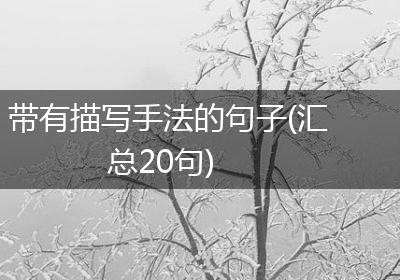 带有描写手法的句子(汇总20句)