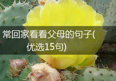 常回家看看父母的句子(优选15句)