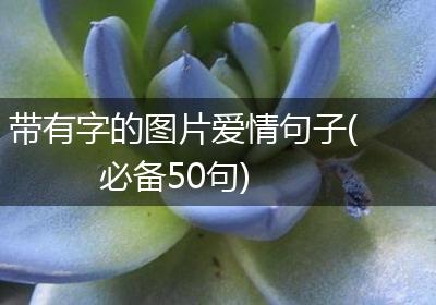 带有字的图片爱情句子(必备50句)
