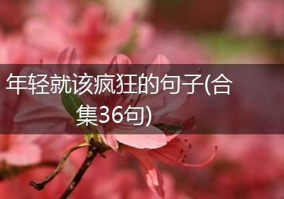 年轻就该疯狂的句子(合集36句)
