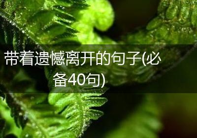带着遗憾离开的句子(必备40句)
