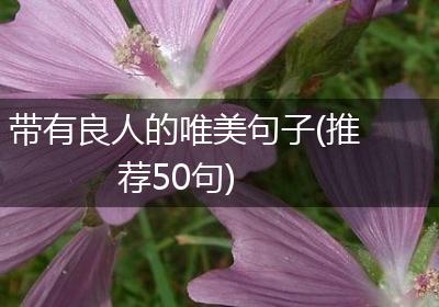 带有良人的唯美句子(推荐50句)