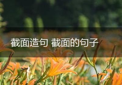截面造句 截面的句子