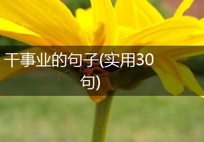 干事业的句子(实用30句)