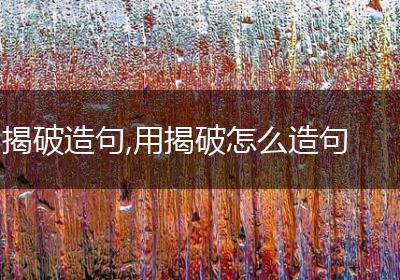 揭破造句,用揭破怎么造句