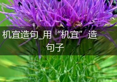 机宜造句_用“机宜”造句子