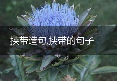 挟带造句,挟带的句子