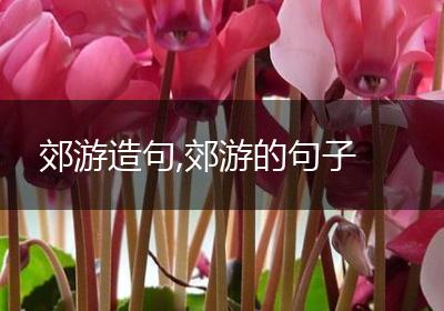 郊游造句,郊游的句子