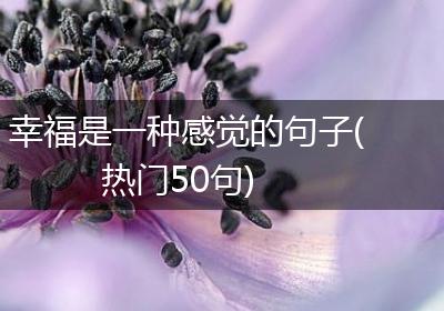 幸福是一种感觉的句子(热门50句)