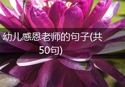幼儿感恩老师的句子(共50句)