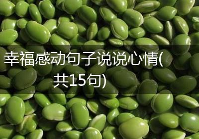 幸福感动句子说说心情(共15句)