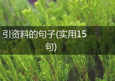 引资料的句子(实用15句)