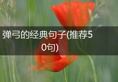弹弓的经典句子(推荐50句)