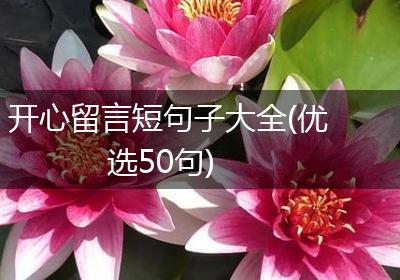 开心留言短句子大全(优选50句)