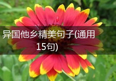 异国他乡精美句子(通用15句)
