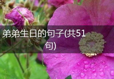 弟弟生日的句子(共51句)