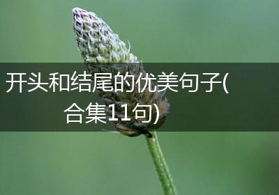 开头和结尾的优美句子(合集11句)