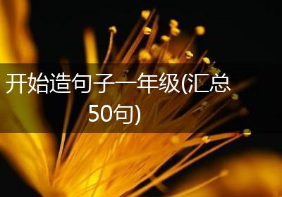 开始造句子一年级(汇总50句)