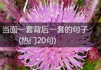 当面一套背后一套的句子(热门20句)
